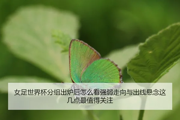 nv-zu-shi-jie-bei-fen-zu-chu-lu-hou-zen-me-kan-qiang-ruo-zou-xiang-yu-chu-xian-xuan-nian-zhe-ji-dian-zui-zhi-de-guan-zhu-2-594.jpg