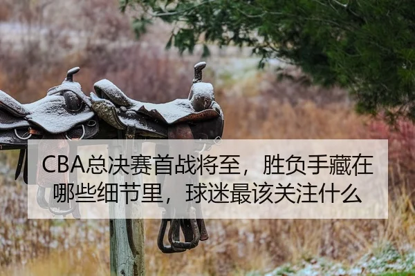 CBA总决赛首战将至，胜负手藏在哪些细节里，球迷最该关注什么