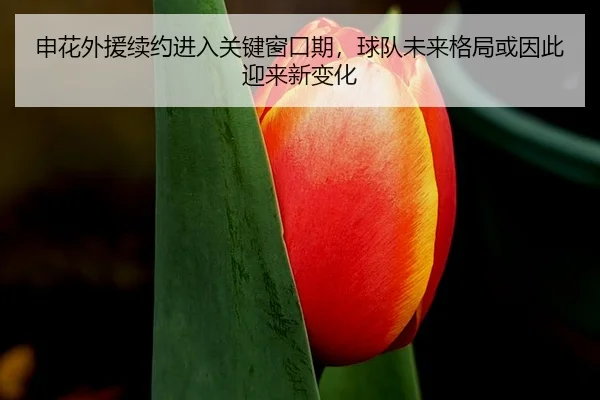 申花外援续约进入关键窗口期，球队未来格局或因此迎来新变化