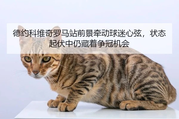 德约科维奇罗马站前景牵动球迷心弦，状态起伏中仍藏着争冠机会